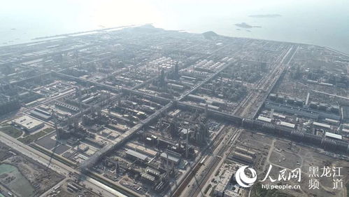 春启新程 建投龙津浙石化全厂主管廊复工与河湖工程同步推进