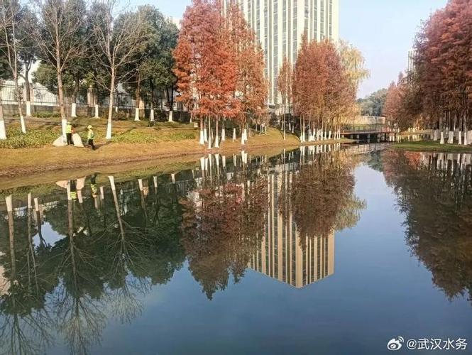河湖清淤植绿，龙山溪重现水清岸绿